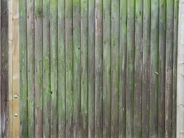 Wooden panel texture (ID:ffagg63721)