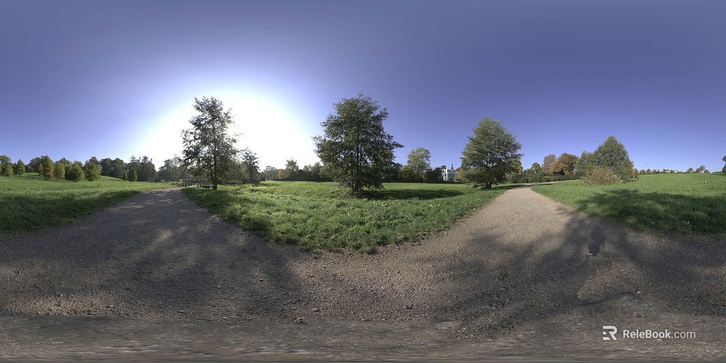 Outdoor Grass Path Daytime Sunny Day HDR texture