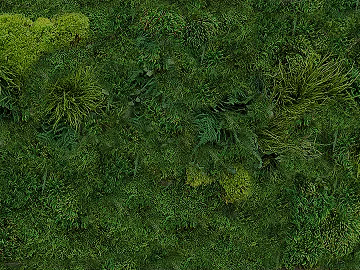Turf texture (ID:ffabg55684)