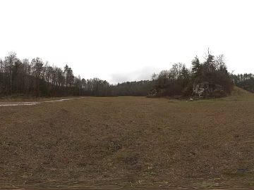 Outdoor weeds forest cloudy HDR texture (ID:ffabg32941)