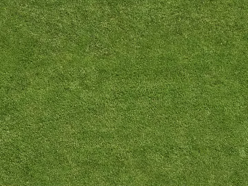 Turf texture (ID:ffacg99580)