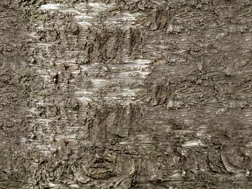 bark texture (ID:ffacg07986)