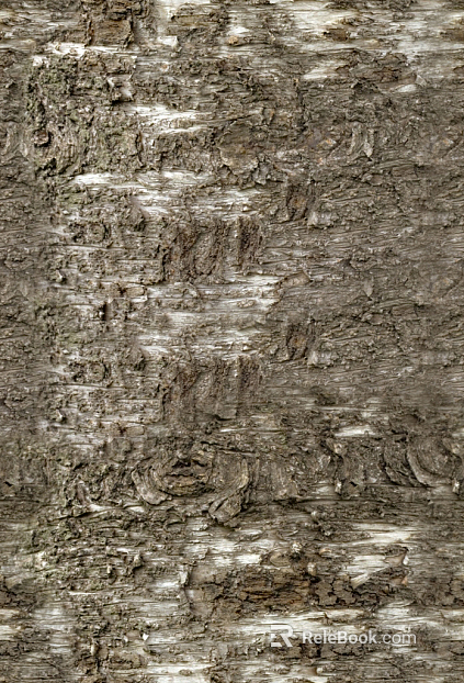 bark texture