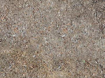 Mud texture (ID:ffacg67164)