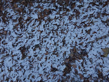 Snow texture (ID:ffaeg44843)