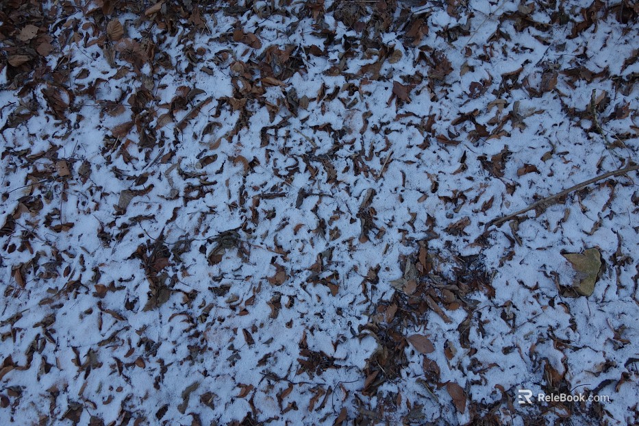 Snow texture