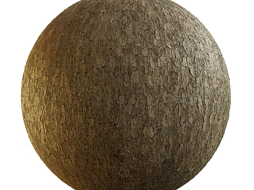 Bark PBR texture (ID:ffadg47082)