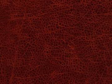 Coarse-grain leather texture (ID:ffacg67814)