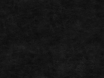 Coarse-grain leather 3d model
