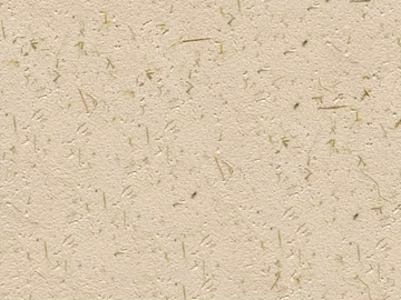 diatom mud 3d model