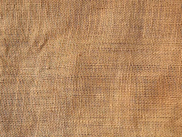 Coarse carpet 3d model