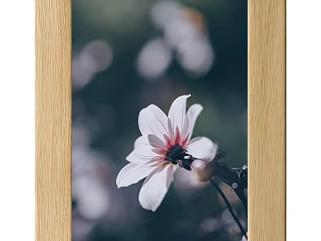 Hanging Painting Decorative Painting texture (ID:ffach082573)