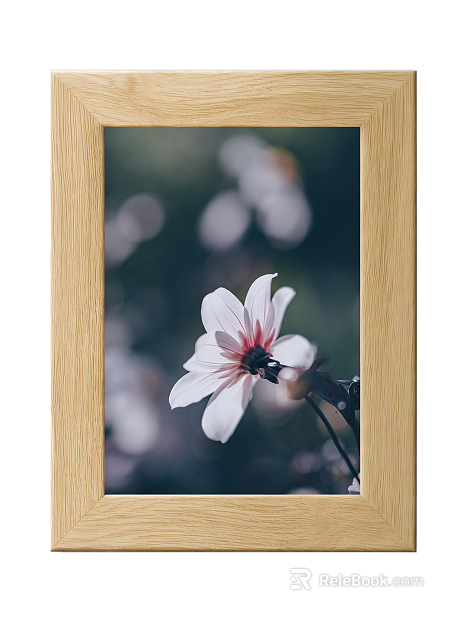 Hanging Painting Decorative Painting texture