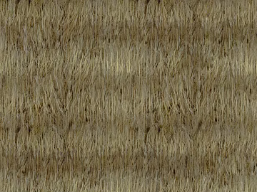 Thatched roof texture (ID:ffaag47666)