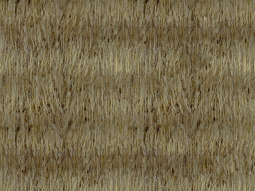 Thatched roof texture (ID:ffaag47666)