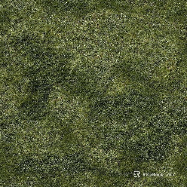 Grassland texture