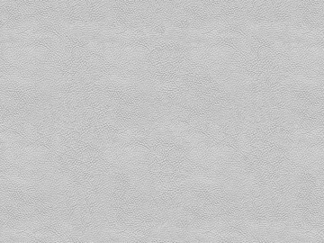Black and white leather texture (ID:ffabg50291)
