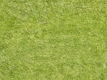 Turf texture (ID:ffagg90184)