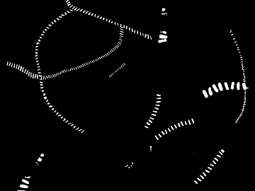 Black and White Bump Line Map 3d model