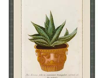 Plant painting texture (ID:ffabg11178)