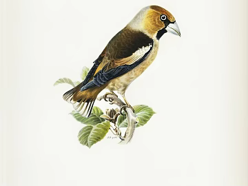 Animal painting texture (ID:ffajg95821)