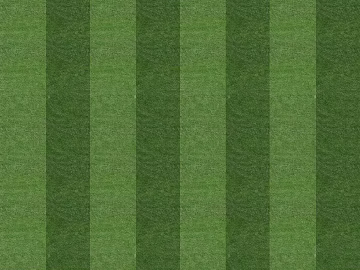 Turf texture (ID:ffaeg67258)