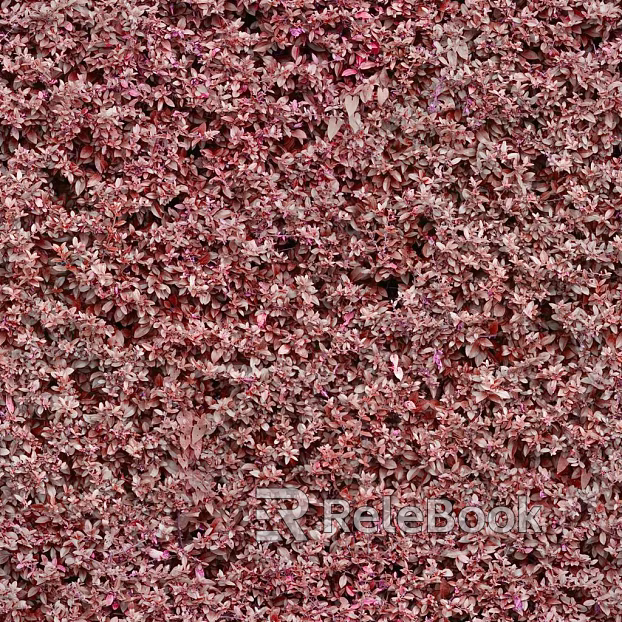 Plants texture