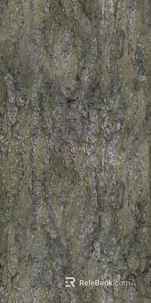 bark texture