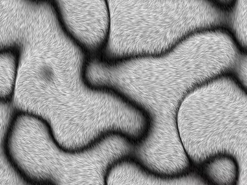Black and White Bump texture (ID:ffabg80500)