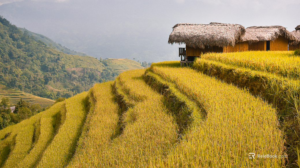 Modern Natural Landscape Farmland Terrace Exterior texture
