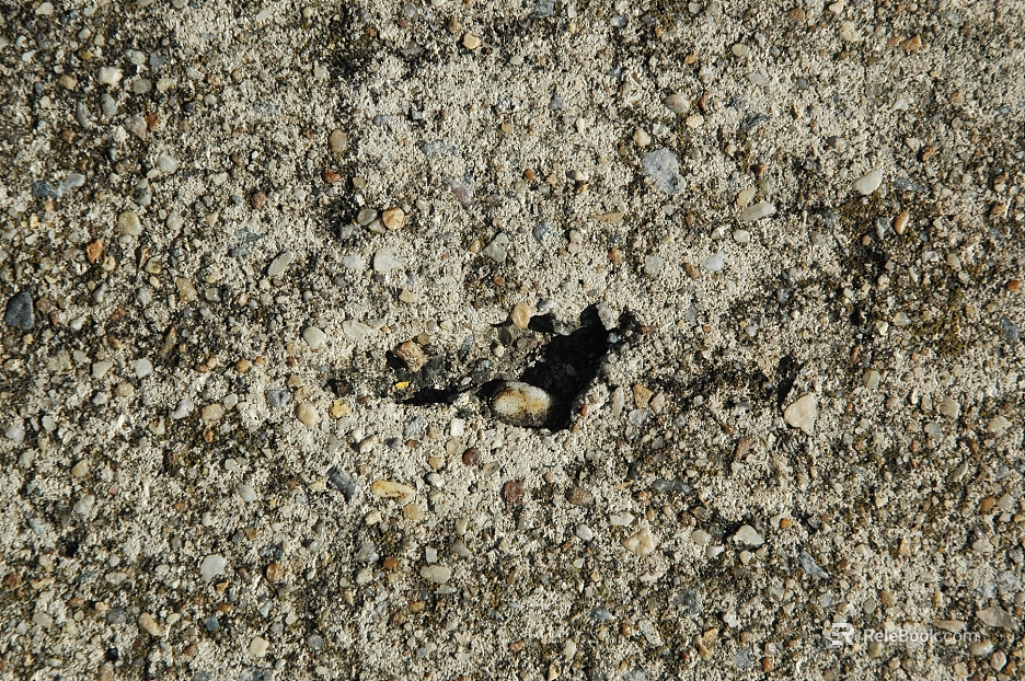 Sand texture