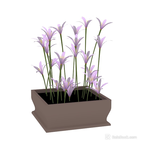 Plant painting texture
