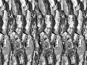 Black and White Bump texture (ID:ffaag50122)