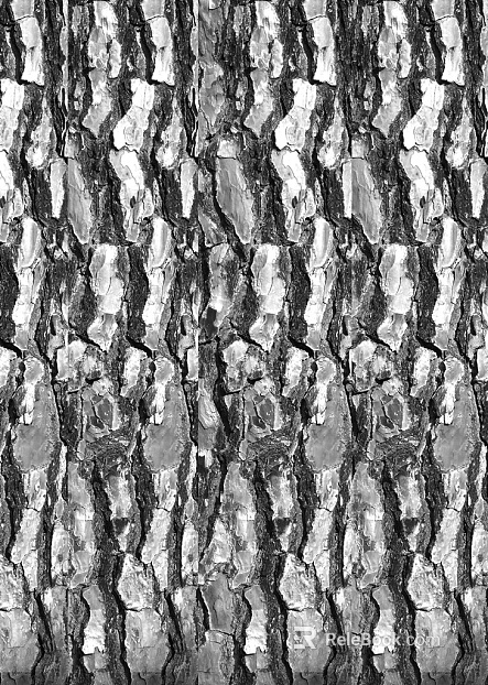 Black and White Bump texture