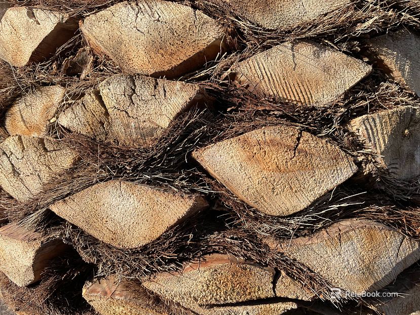 Wood texture