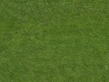 Turf texture (ID:ffajg59294)
