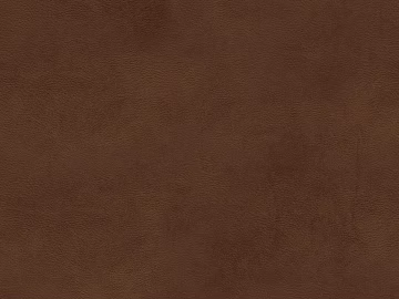 fine grain leather texture (ID:ffadf0246)