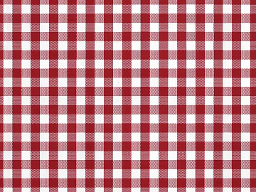 Red and white plaid soft fabric 3d model