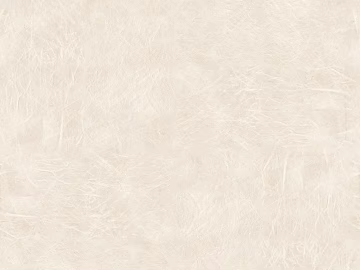 fine grain leather texture (ID:ffadf3176)