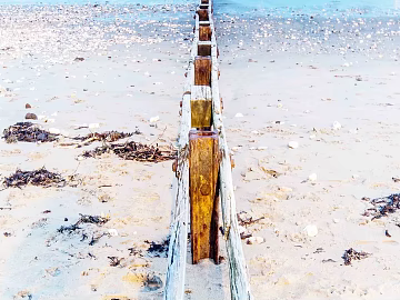 Wild Scenery texture (ID:ffaeg53484)