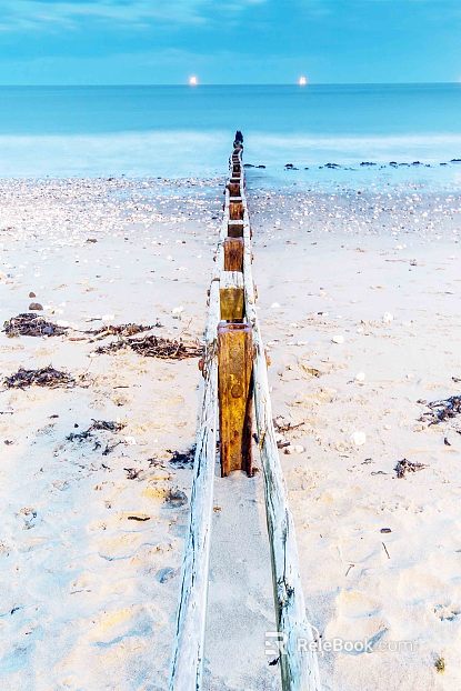 Wild Scenery texture