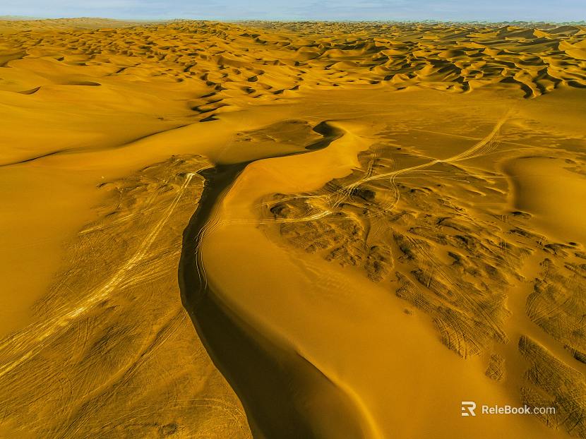 Desert texture