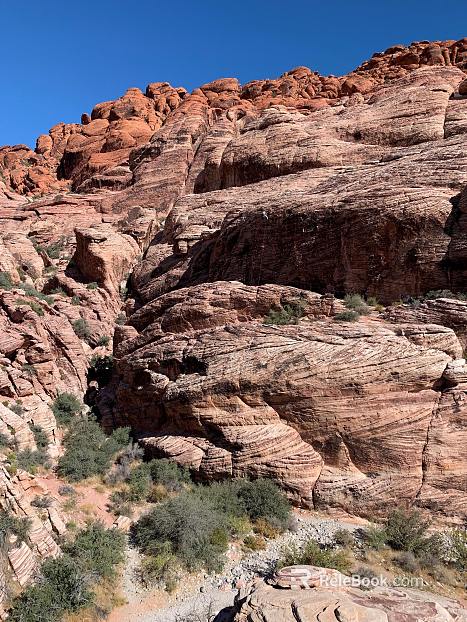 Wild Scenery texture