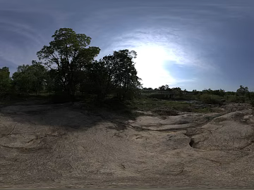 Wild Forest Daytime HDR texture (ID:ffabg41651)