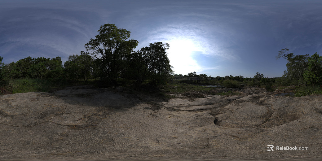 Wild Forest Daytime HDR texture