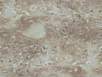 Honeycomb stone texture (ID:ffaeh942346)