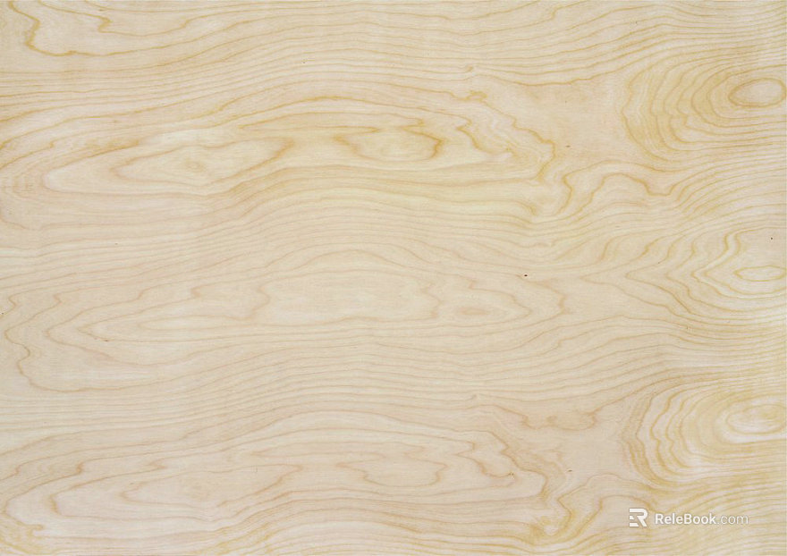 Plywood White Birch Wood Paint Figure texture