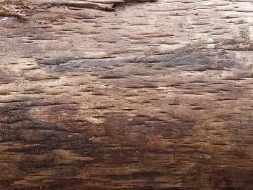 bark texture (ID:ffajg31542)