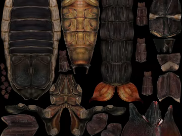 dark brown bionic carapace biological skin texture (ID:ffaeh206416)