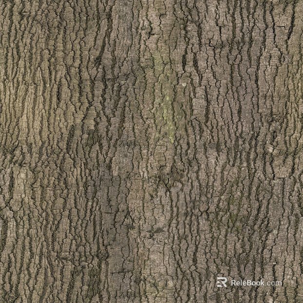 bark texture